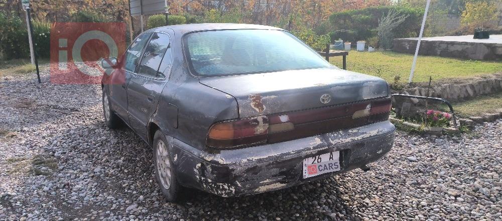 تويوتا كورولا